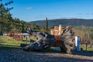 Quinta da Barrieiro (66)