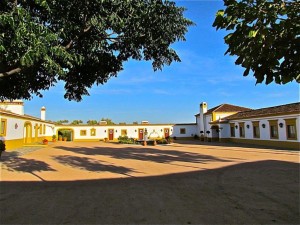 herdade-agua-d-alte-turismo-rural-img_2694-version-2