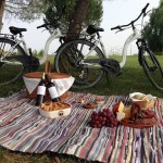 picknick-bikes