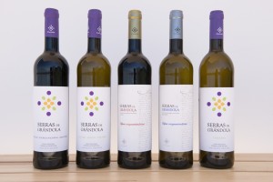 adega-e-vinhos-3