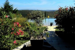 01b SALGADINHO - Wheelchair access to the swimming pool in the rear garden