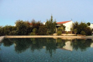 03 SALGADINHO - View from the pool to the modern clay houses CASA PAVÃO (left) and CASA PEIXE (right)