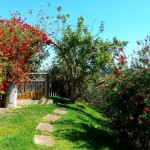 20 CASA PAVÃO - Path from the conservatory to the poolside terrace