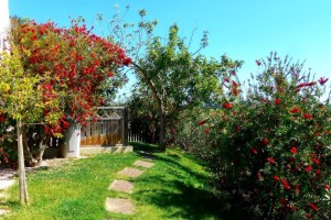 20 CASA PAVÃO - Path from the conservatory to the poolside terrace