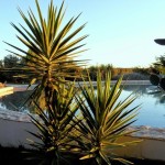 22b CASA PAVÃO - Private swimming pool access in afternoon light