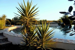 22b CASA PAVÃO - Private swimming pool access in afternoon light