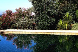 22d CASA PAVÃO - Poolside terrace seen from the opposite pool side