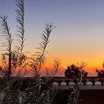 25 CASA PAVÃO - Sunset panorama seen from the conservatory and from inside the house