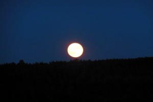 31 SALGADINHO - Full moon shining over the hills of the Serra de Monchique