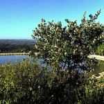 61a SALGADINHO - Pool entrance with panorama view in SPRING