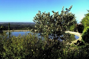 61a SALGADINHO - Pool entrance with panorama view in SPRING