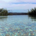 63 SALGADINHO - Taking a swim in the early morning