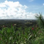 66a SALGADINHO - View over the hills towards the Nature Paradise SELÃO DA EIRA VELHA