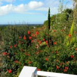 66b SALGADINHO - View from the panorama terrace over the landscape down to the sea