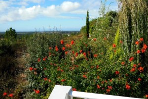 66b SALGADINHO - View from the panorama terrace over the landscape down to the sea