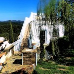 68 SALGADINHO - BBQ area with willow and panorama terrace