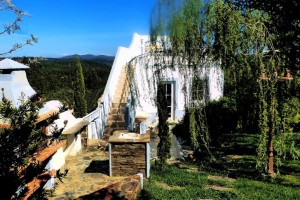 68 SALGADINHO - BBQ area with willow and panorama terrace