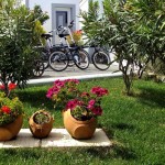 72 SALGADINHO - Bicycles parked in front of the reception