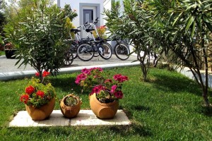 72 SALGADINHO - Bicycles parked in front of the reception