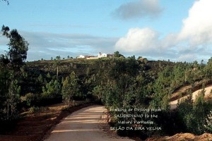 75 SALGADINHO seen from the connecting road to SELÃO DA EIRA VELHA