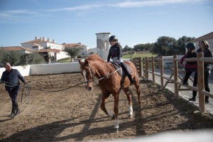 HORSES1(©Ricardo Bravo)