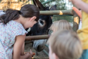 KIDS1(©Ricardo Bravo)