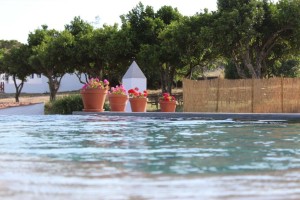 piscina+flores