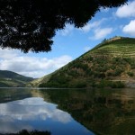 Douro_river_[5712-LARGE]