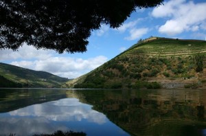 Douro_river_[5712-LARGE]