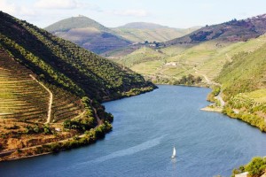Sailing_through_Douro_River_[6104-A4]