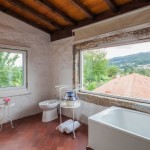 Bathroom_with_a_view