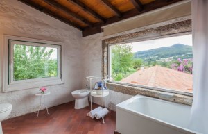 Bathroom_with_a_view
