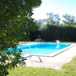 Piscina 1