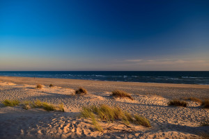 Dunas-Algarve