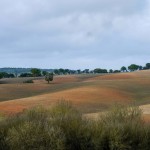 Paisagem e vila 4