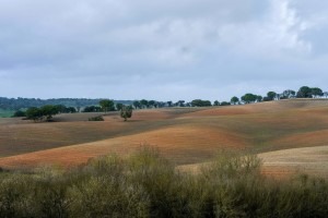 Paisagem e vila 4