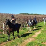 Passeio a Cavalo