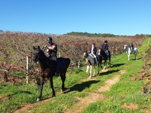 Passeio a Cavalo