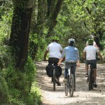 Passeio de Bicicleta