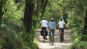 Passeio de Bicicleta