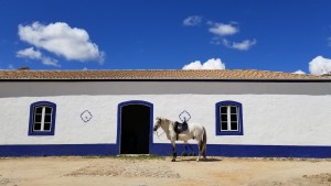 fazenda_57